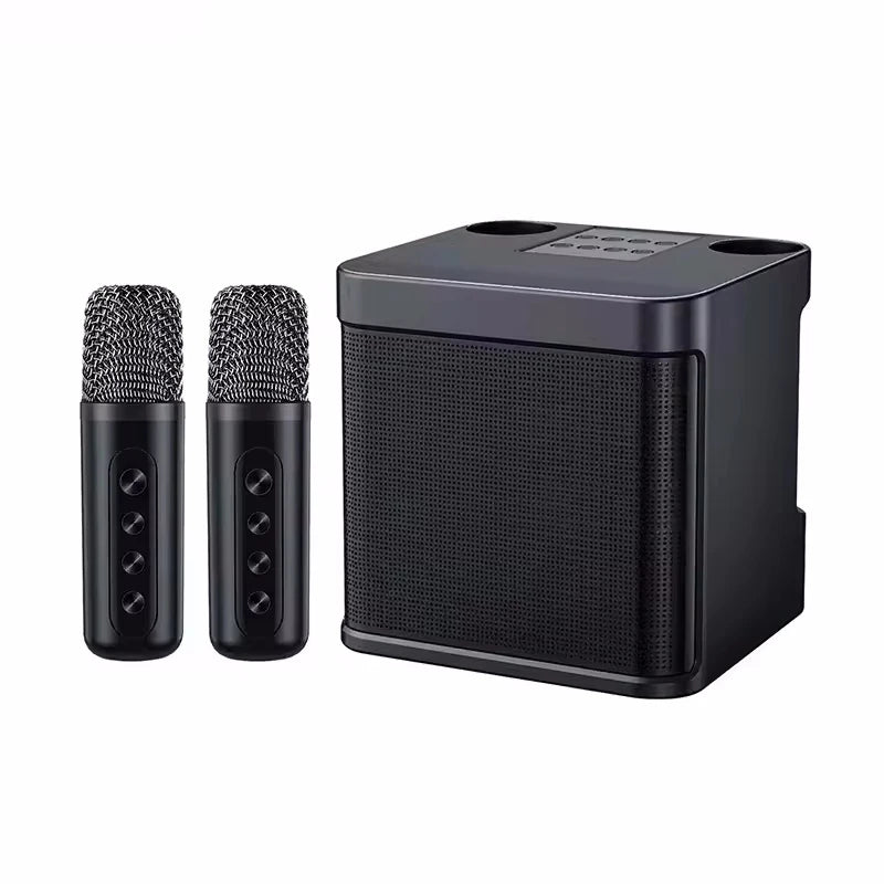 AyeBeau Portable Karaoke Bluetooth Speaker with Microphone