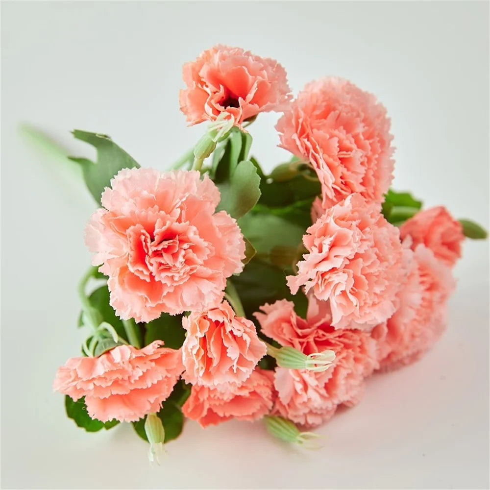 Spring Carnations Silk Touch Valentine's Bouquet Home Decor Florals Stems Holiday Gift Flowers For Romantic Gesture Seasonal Oasis Select