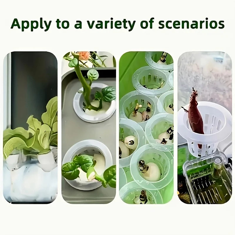10pcs Hydroponic Seedling Basket Set (Includes 10 Planting Baskets + 10 Seedling Sponges)|Seed Stabilization to Prevent Drifting Oasis Select