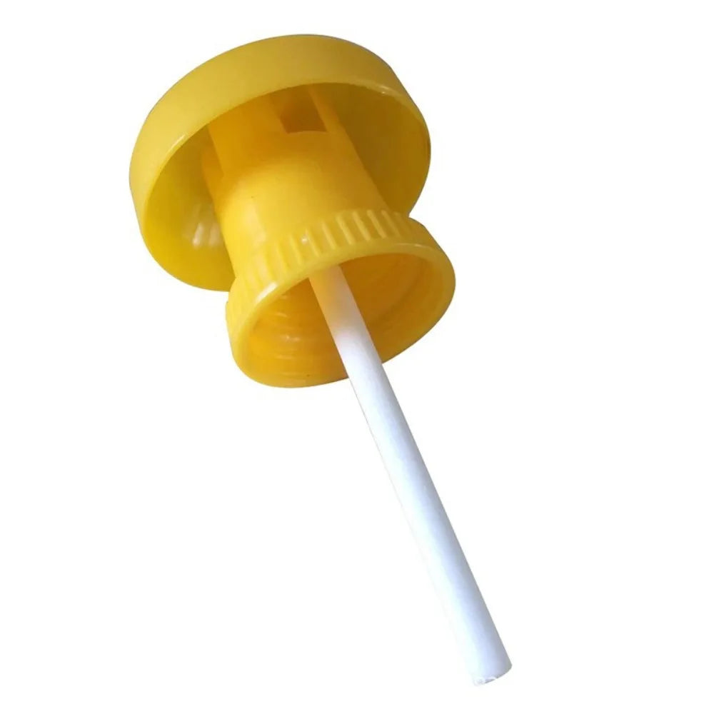 10-Pack Yellow Sticky Fruit Fly Traps | Hanging Insect Catchers Insect Sticky Trap Oasis Select Yellow