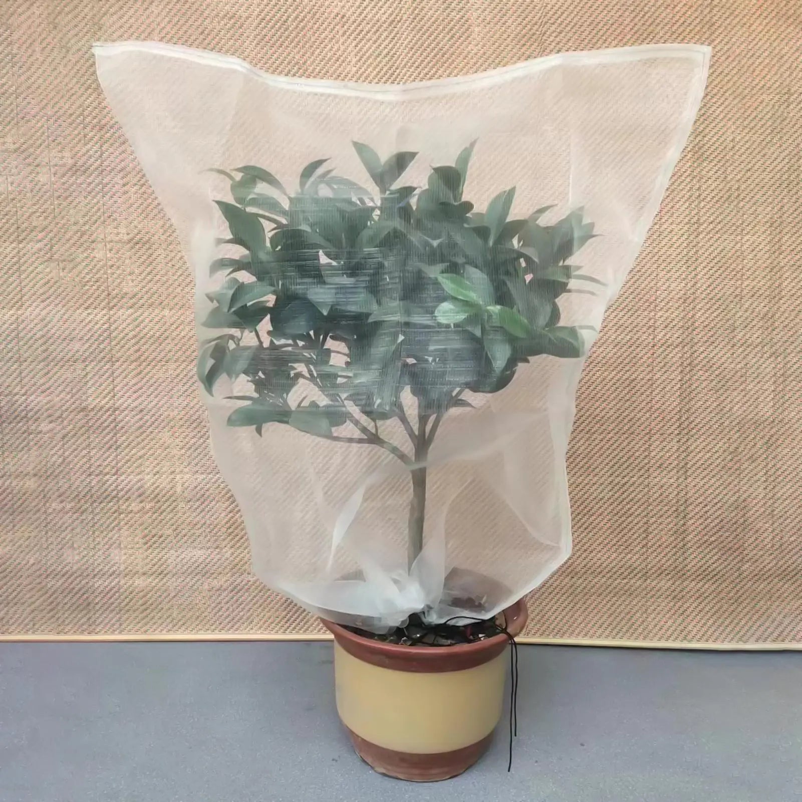 Fruit Tree Netting Garden Netting With Drawstring Zipper-Insect Bird Protection For Fruits Citrus Flowers Insect Netting Oasis Select