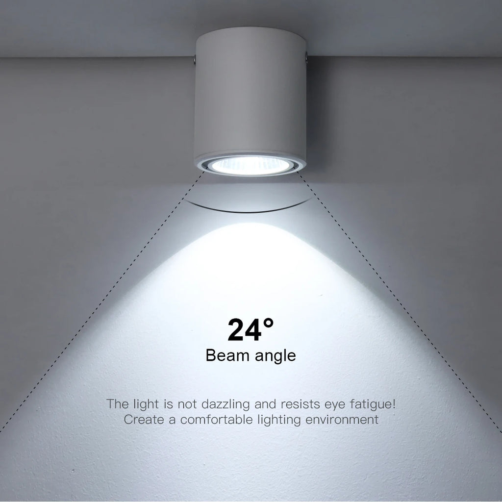 LED Downlight Recessed Ceiling Lamp 7W/12W Aluminum COB Spotlight Night Light for Home Office Store Decor AC85-265V Oasis Select