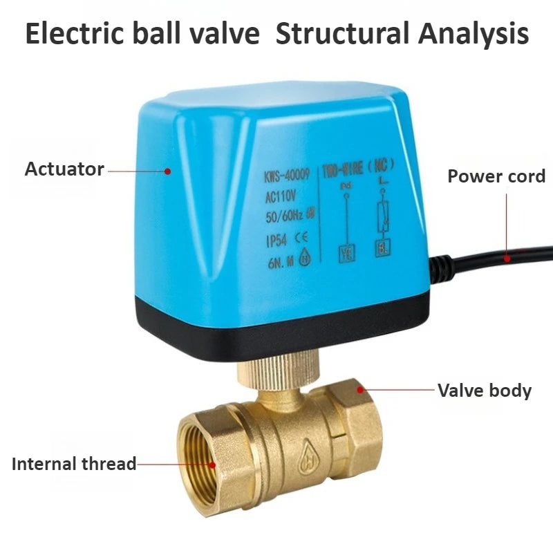 Brass Electric Ball Valve DC12V/24V Three Wire Two Control 1/2 "3/4" 1 "2" Electric Valve Used for Water Solenoid Valve Oasis Select