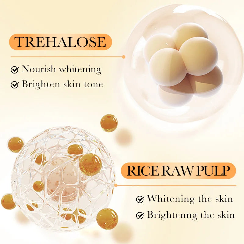 Rice Puree Freeze-Dried Serum Set – Brightening & Barrier Care Face Serum Set Oasis Select