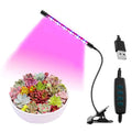 SHINEKNOT Full Spectrum LED Grow Light | Indoor Plant Lamp