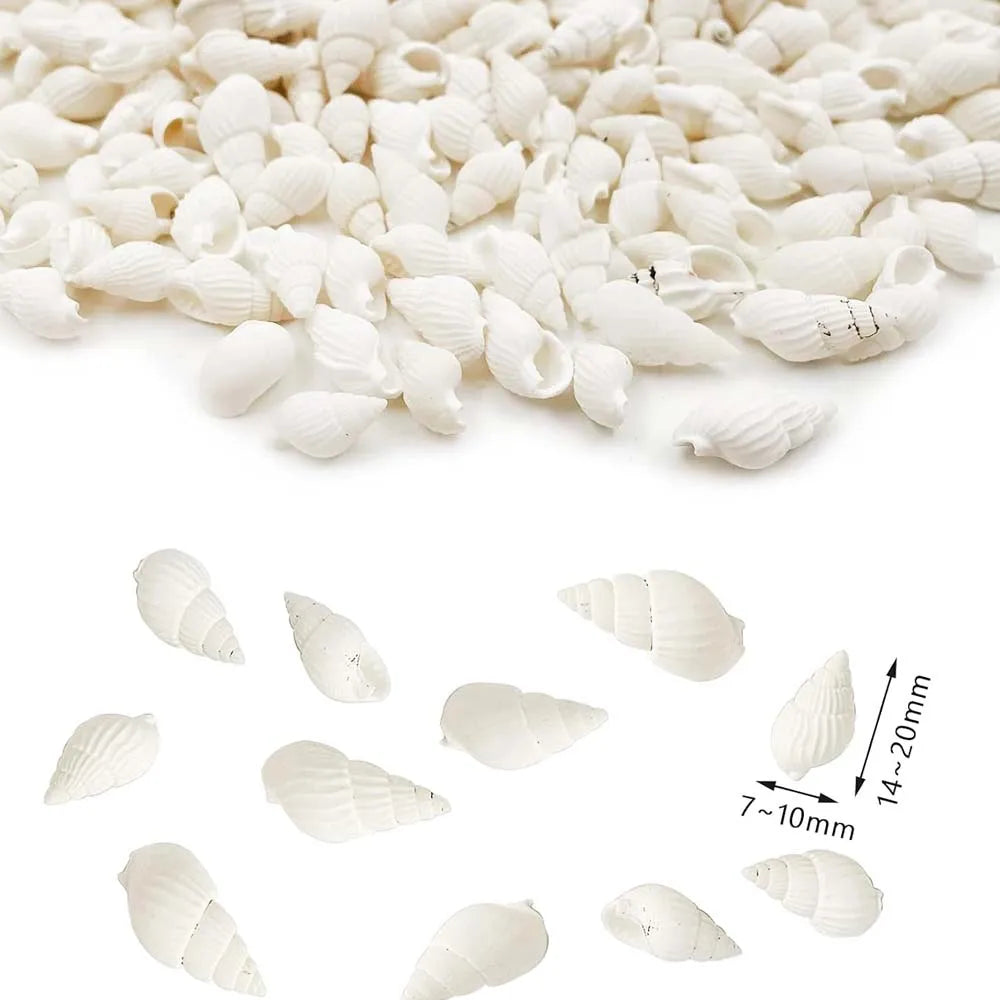 About 100pcs Natural White Beach Sea Shell BeadsTrumpet Spiral Seashells for DIY Craft Jewelry Making Wedding Party Home Decor Oasis Select