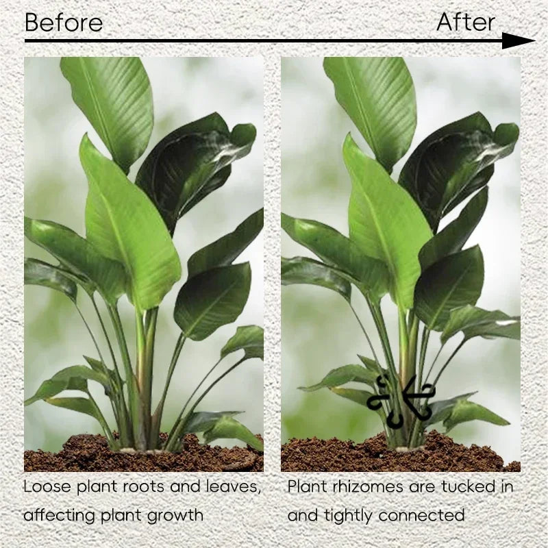 4pc Plant Fixing Clip Plant Climbing Support Frame Flower Stem Folding Frame Stem Finishing Period Gardening Tools and Equipment Oasis Select