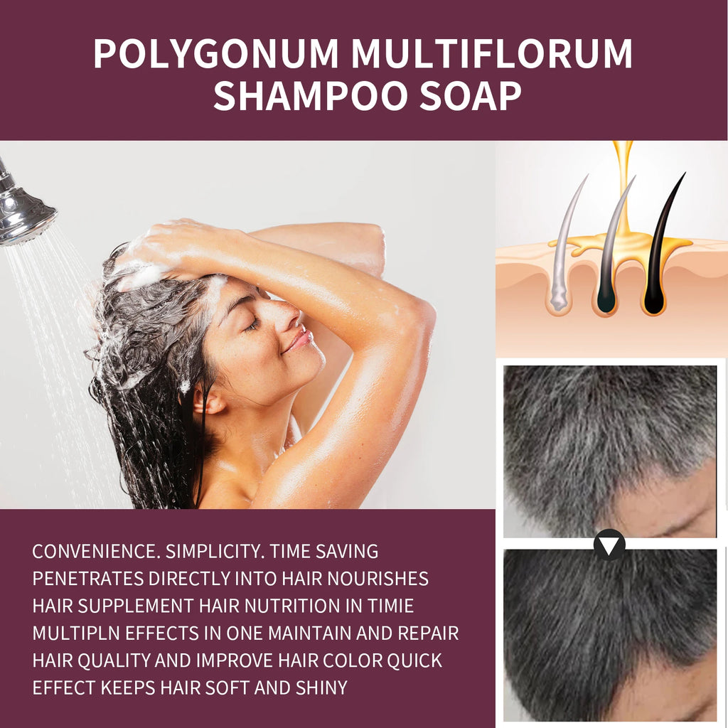 Polygonum Multiflorum Shampoo Soap Remove Dandruff Reduct Hair Loss Restore Natural Black Hair Strengthen Hair Roots Hair Care Oasis Select
