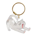 Cat Hair Storage Keychain | Transparent Acrylic Capsule Pendant