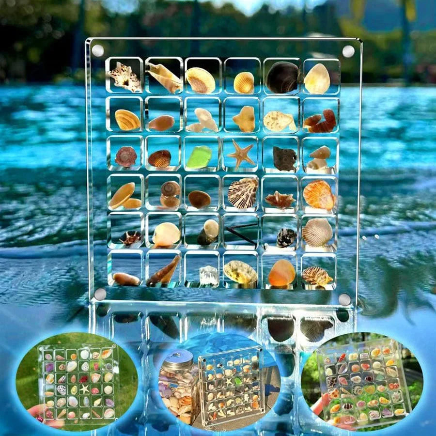 Clear Acrylic Magnetic Display Case 36-Grid Transparent Organizer for Seashells Starfish Jewelry Trinkets Jewelry Making Display Oasis Select