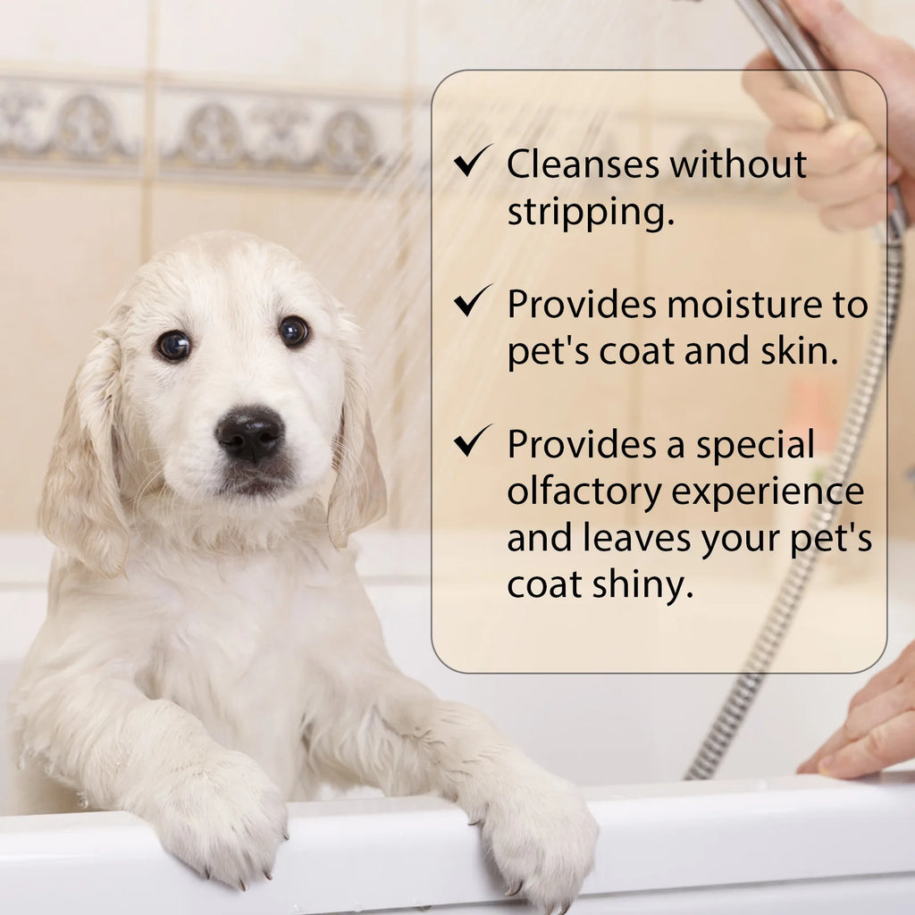 YEGBONG Pet Shampoo for Cats & Dogs – Gentle & Deodorizing Pet Shampoo Oasis Select