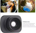 DJI Osmo Pocket 2 Filter Kit – Wide Angle, Macro & Fisheye Lens