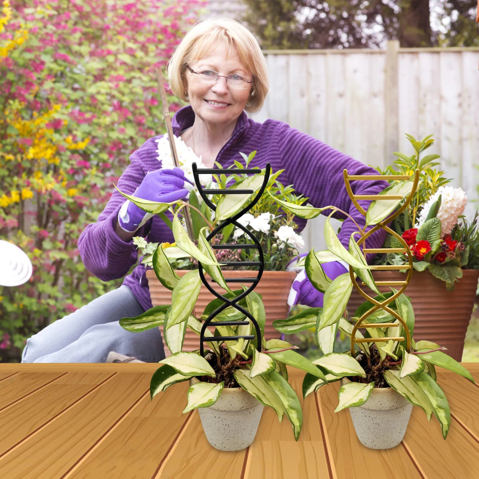 Plant Climbing Support Gardens Flower Pots Use Vine Stand Metal Cross Frame Holder Accessories Bonsai Tool for Seedlings Trellis Oasis Select