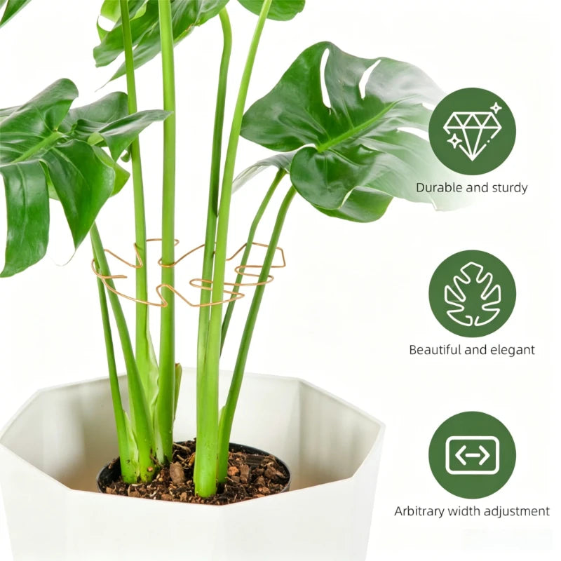 Anti-toppling Plant Stem Support No Nail Needed Multi-purpose Flower Climbing Stem Holder Vine Branch Monstera Stabilizer Oasis Select