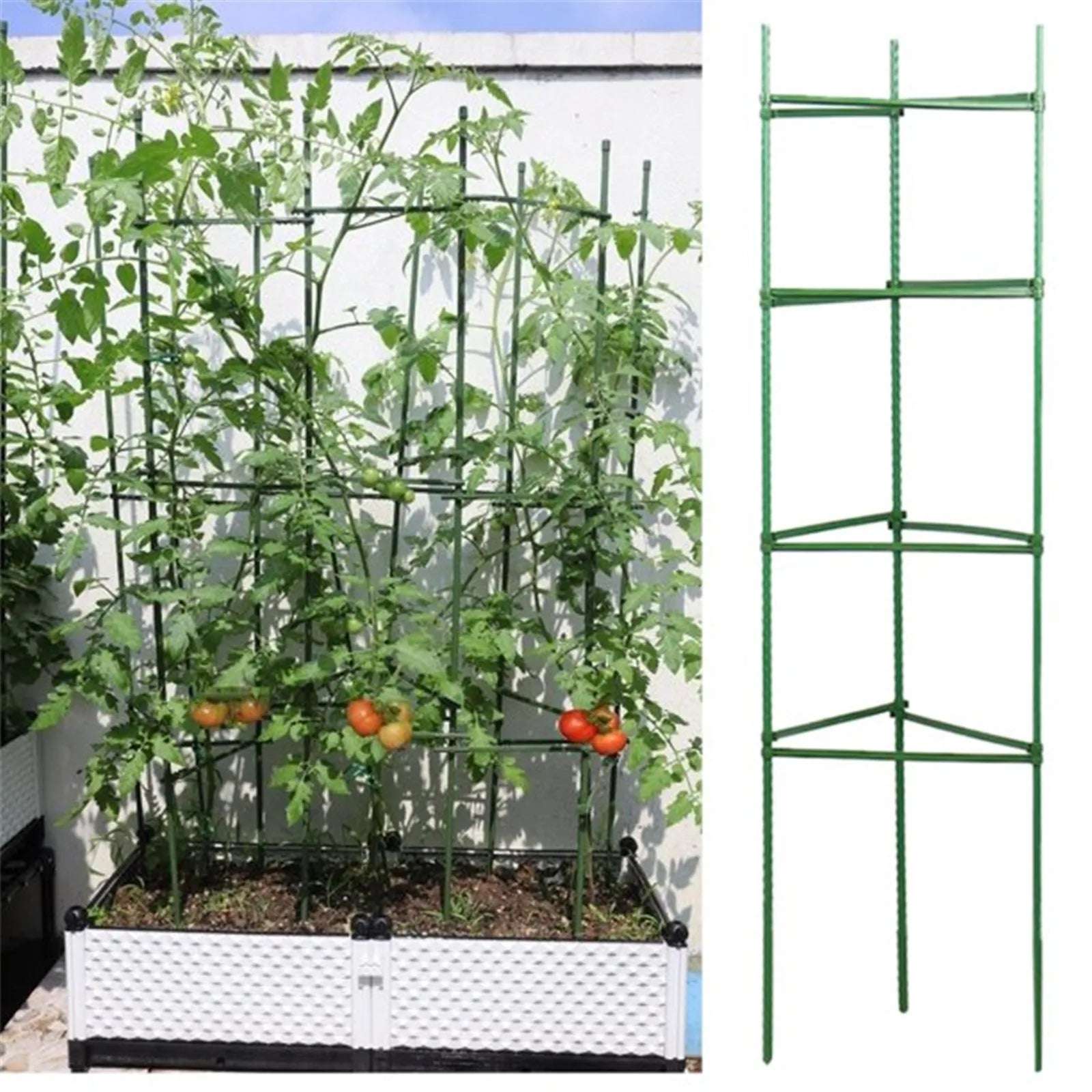 24pcs Garden Vegetable Stakes Plant Cages To Support Plant Growth Anti Overturning Tomato Cages For Vertical Climbing Of Plants Oasis Select