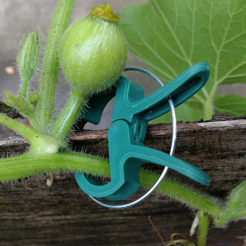 Bundle Plastic Branch Clamping Stakes Connector Vine Support Planting Support Clips Garden Tool Farm Supplies Plant Fixed Clamp Oasis Select