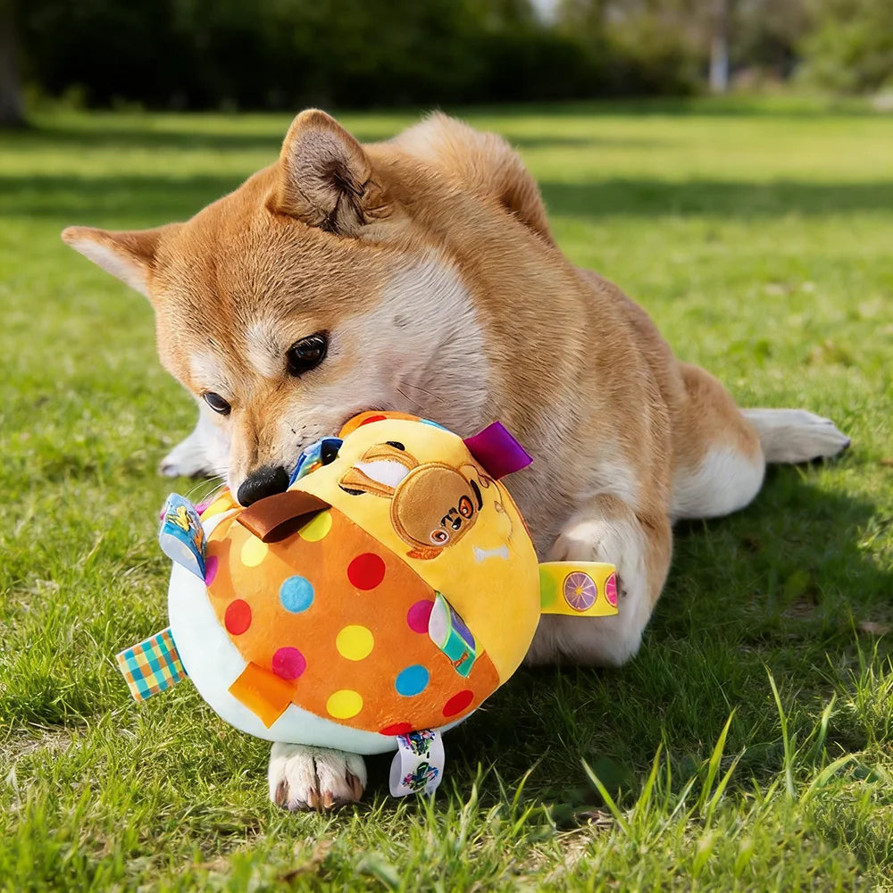 Interactive Ball Dog Toy for Aggressive Chewers Training Decompress Bite Resistant Plush Handle Dog Toys with Bells Pet Supplies Oasis Select