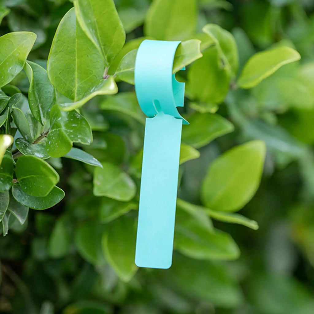 Plant Labels 100Pcs Waterproof Plant Markers Plastic Plant Hanging Tags Gardening Plant Marker Label Tools Planters Supply Oasis Select