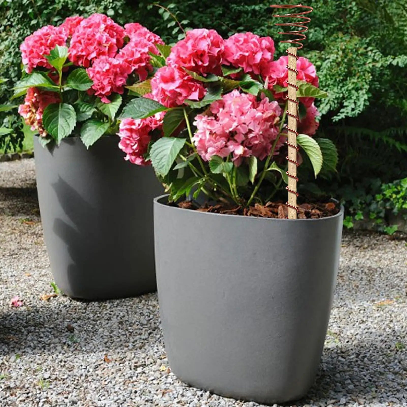 6Pcs Electroculture Plant Stakes Gardening Copper Coil Antennas Bonsai Fixing Rod Plants Using for Growing Garden Plants Fruits Oasis Select