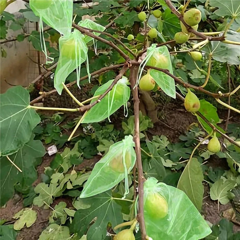 100Pcs Mesh Fruit Protection Bags with Drawstring Weather Resistant Fruits Insect Proof Bag Organza Grape Protection Cover Oasis Select