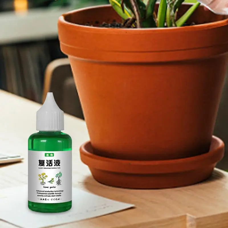 Plant Revitalizer Resurrection Liquid 50ml Fertilizing Liquid Concentrate Fertilizing Liquid Concentrate Plant Promotes Growth Oasis Select