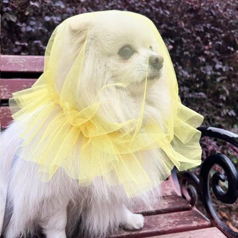 Pet Anti-Mosquito Headgear Random Eating Prevention Breathable Dog Head Cover Pet Protective Mask Comfort Anti-Bite Head Cover Oasis Select