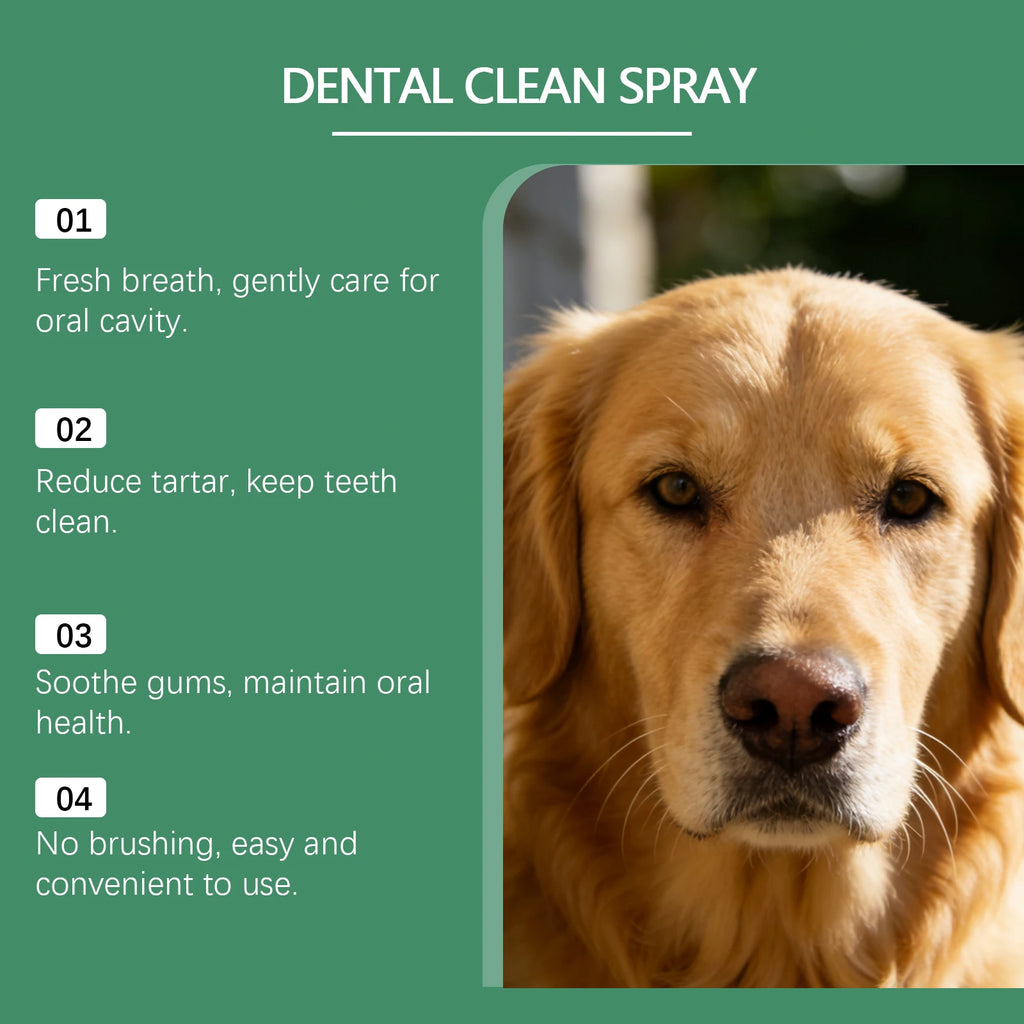 Dog Oral Care Spray Beef Flavor Reduces Plaque & Tartar Buildup Breath Freshener Eliminates Bad Breath Daily Oral Care Oasis Select