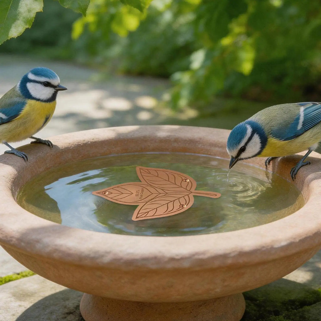 1PC Bird Bath Copper Birdbath Purifier With Triple-Point Support Bath Disk Ornaments Feeder Accessories For Outdoor Bird Baths Oasis Select