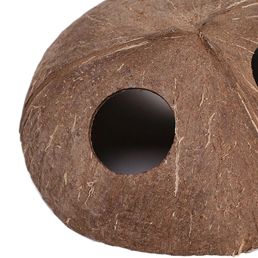 Natural Coconut Shell Reptile Hiding Cave – Turtle & Lizard Hide