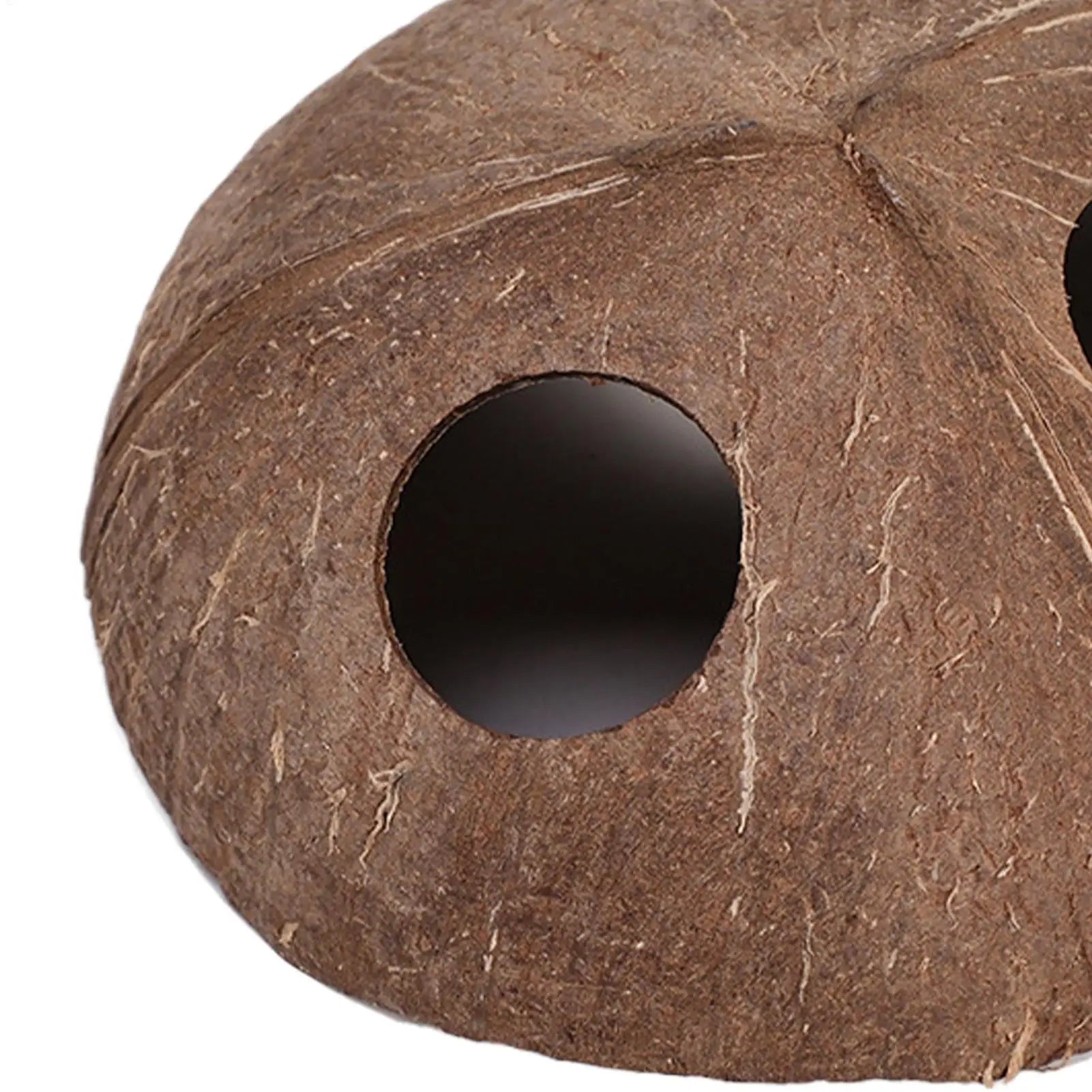 Natural Coconut Shell Reptile Hiding Cave – Turtle & Lizard Hide