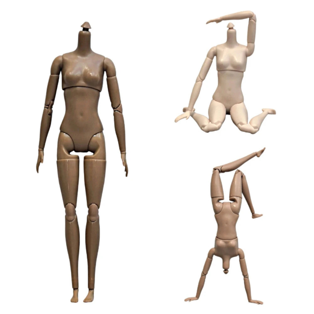 26cm 1/6 Scale BJD Doll, Super Flexible Female Action Figure with 22 Movable Joints, Nude Body Model for BJD Display Parts Oasis Select