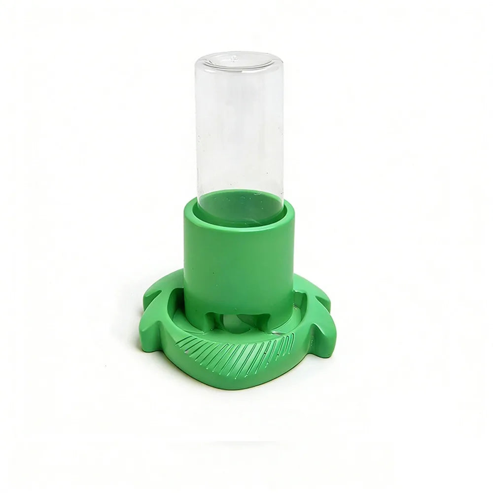 Reptile & Amphibian Water Dish | Anti-Slip Removable Base Bowl