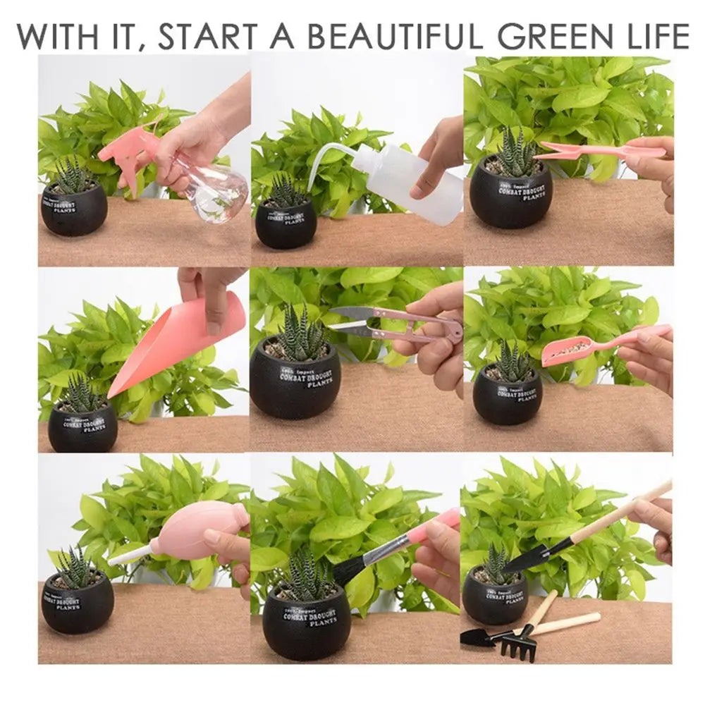 DIY Bonsai & Succulent Planting Tool Kit – 12/16 Pcs Garden Set
