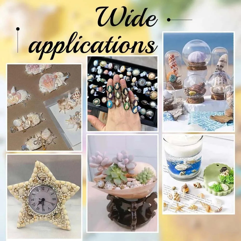 1Box Tiny Sea Shells Miniature Shell NO Hole for Candle making Jewelry Making Crafts FishTank Aquarium Ornament Craftwork Oasis Select