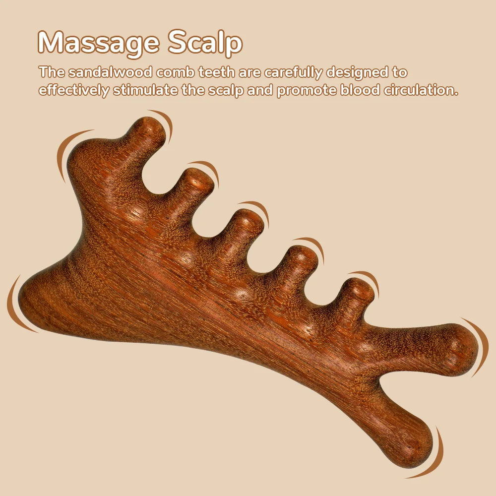 Natural Sandalwood Wide Tooth Massage Comb Set – Anti-Static Scalp Massage Comb Set Oasis Select