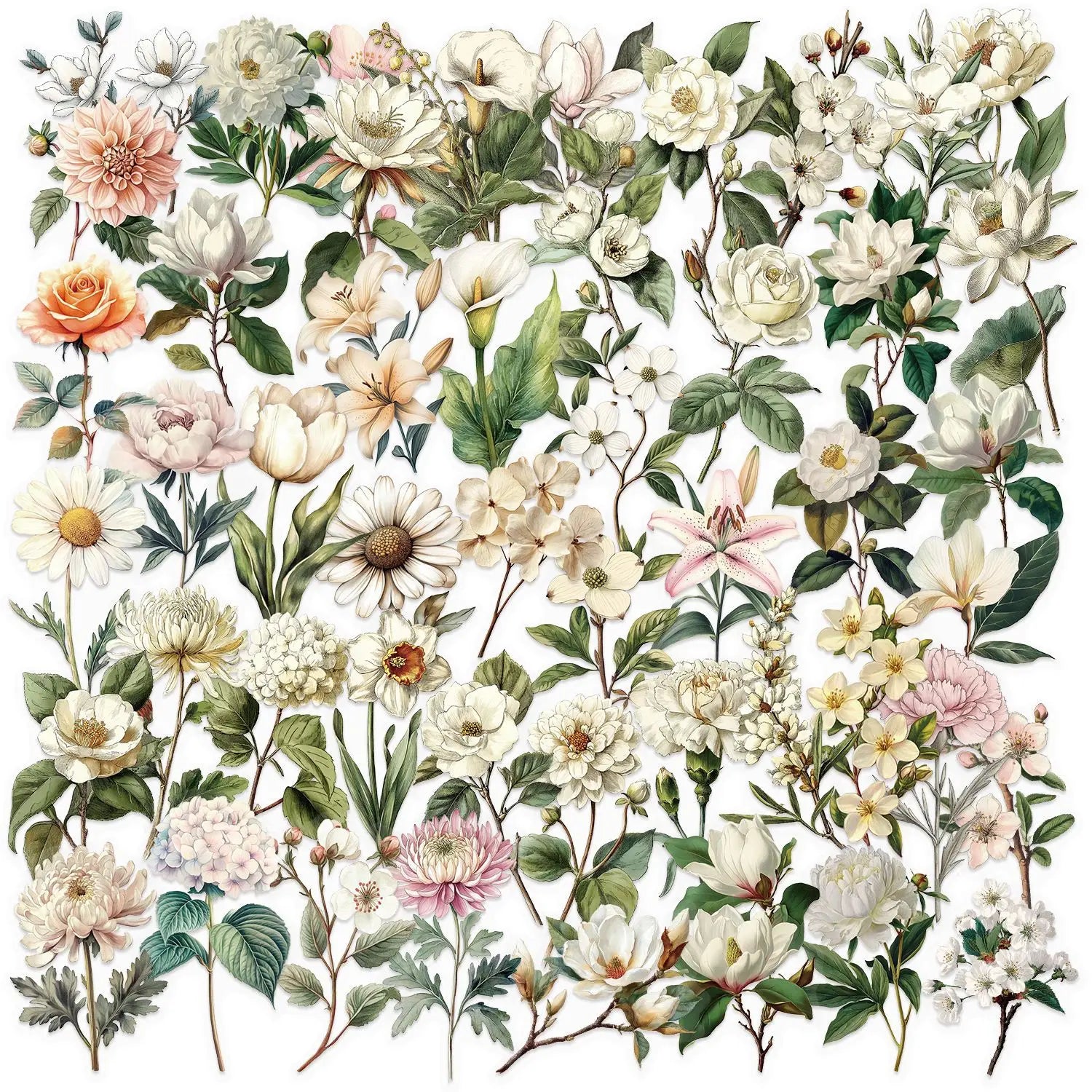 50PCS Retro Long Branch Flower Plastic Stickers Luggage Manual Material Retro Flower Decoration Waterproof Stickers Oasis Select