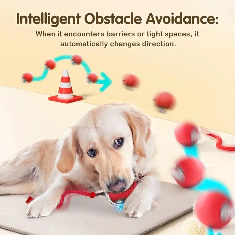 Interactive Cat Toys Automatic Rolling Ball Fake Tail Rechargeable Electric Pet Interactive Toy Dog Training Imitate Mouse Tail