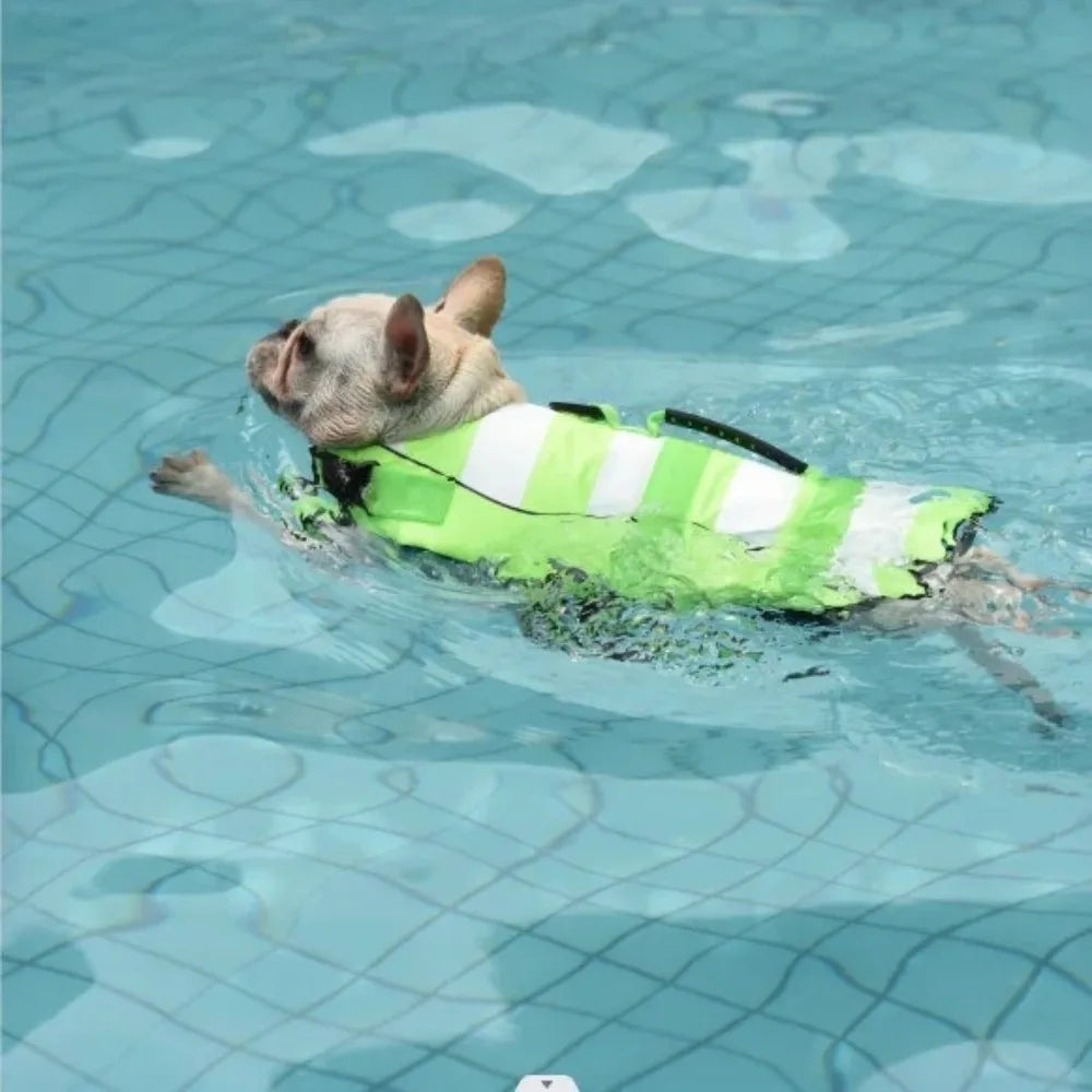 Reflective Dog Life Jacket Superior Buoyancy Adjustable Pet Life Preserver Breathable with Handle Safety Vests Summer Swimming Oasis Select