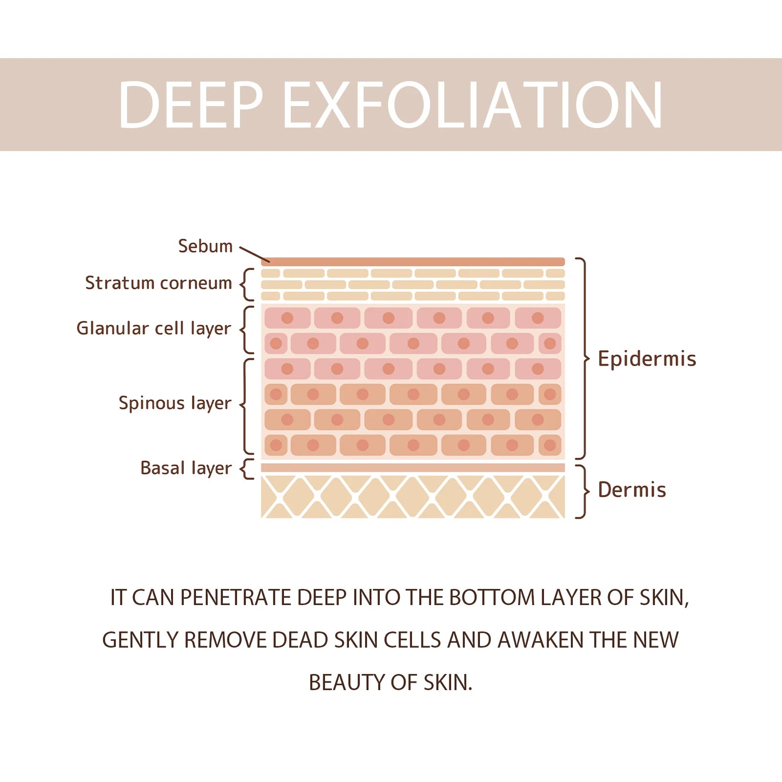 Exfoliating Peeling Gel – Pore Shrinking & Brightening Face Scrub Facial Peeling Gel Oasis Select
