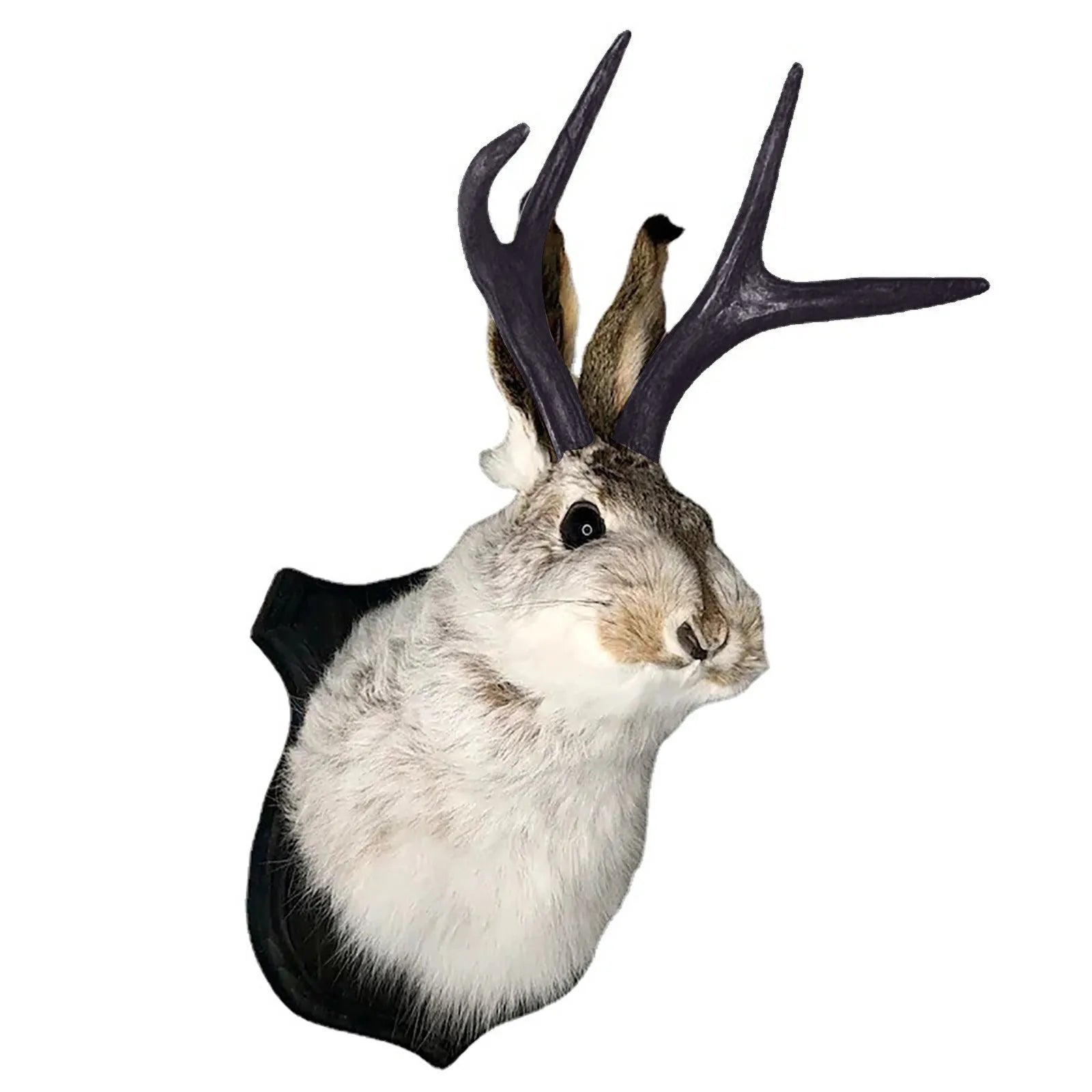 Easter Gift Bunny Head Antlers Wall Hanging Decoration Wall Decor Simulation Rabbit Specimen Resin Art Ornaments Jackalope Decor Oasis Select