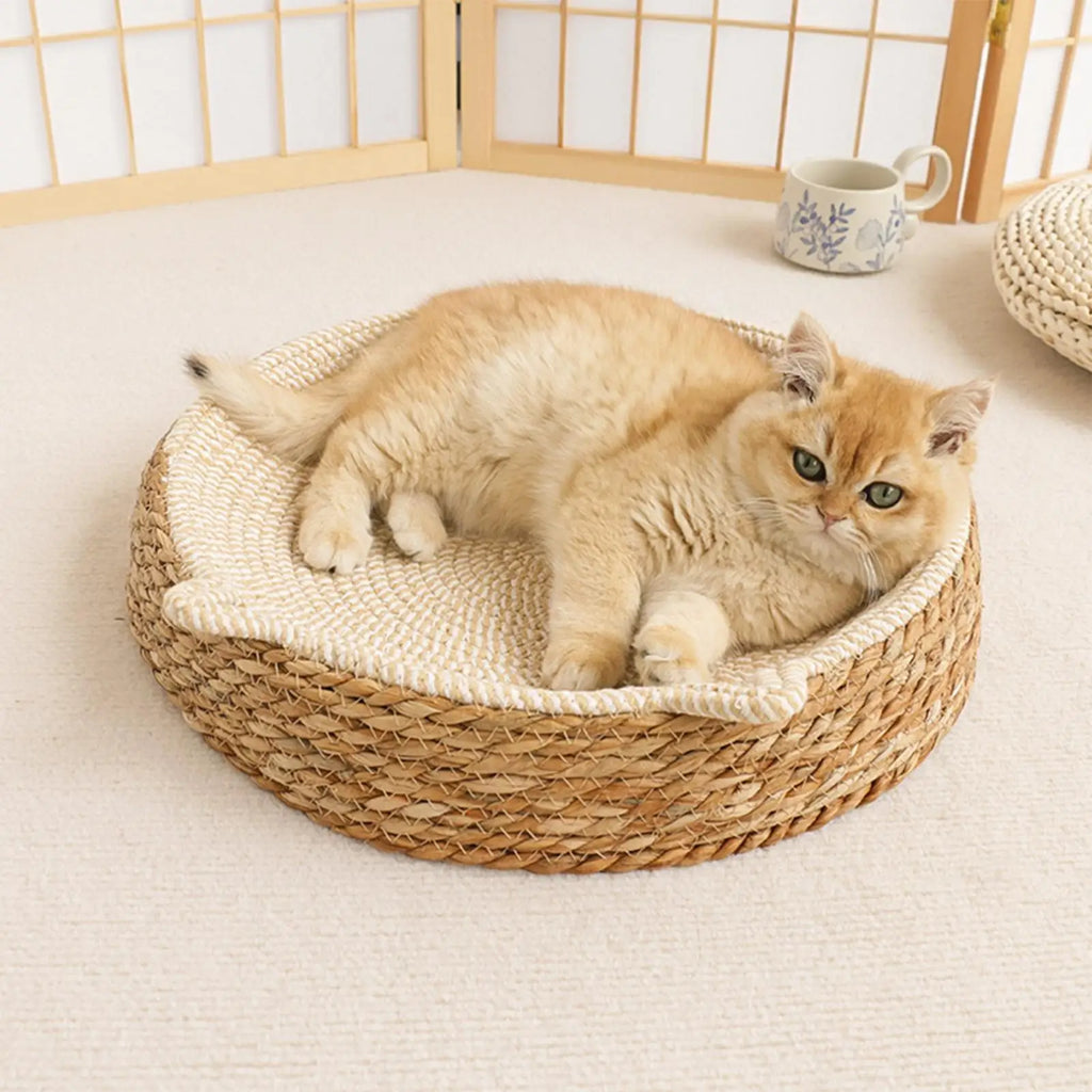 Cat Bed Sofa Cat Scratching Board 2 in 1 Wear-resistant and Scratch-resistant Cat Bed Scratcher Sofa Protector Cats Furniture Oasis Select