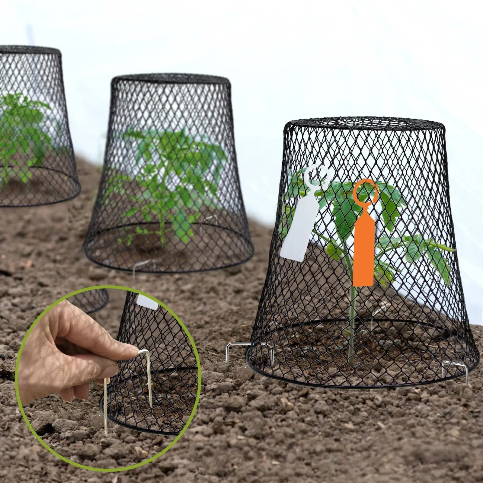 10-Pack Wire Plant Protection Cloches – Garden Pest Cages Garden Plant Cage Oasis Select