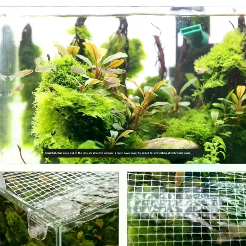 Fish Tank Anti-Jump Guard Net | DIY Aquarium Cover Screen