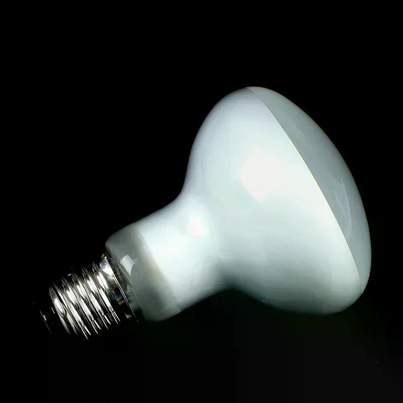 UVA+UVB Reptile Lamp Bulb Turtle Basking UV Light Bulbs Heating Lamp Amphibians Lizards Temperature Controller Oasis Select