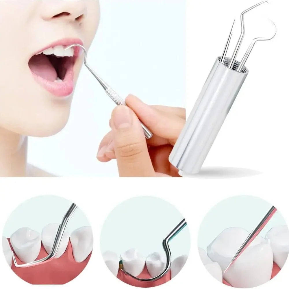 7pcs/set Reusable Stainless Steel Toothpick Set with Toothpick Holder Keychain Design Tartar Removal Tool Oral Clean Oasis Select