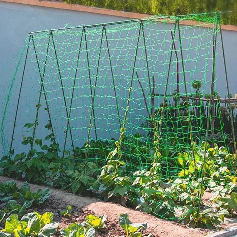 Breathable Plant Trellis Pergola Net Heavy Duty Square Mesh Netting Durable Grow Support for Garden Climbing Plants Oasis Select