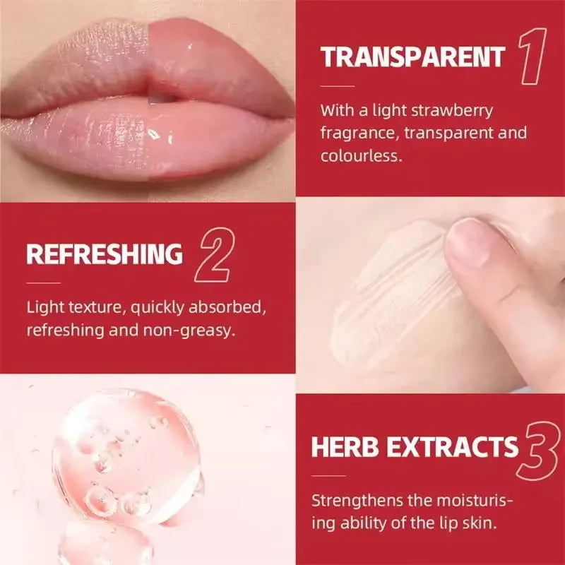 Eelhoe Lip Plumper Oil – Volumising, Moisturizing & Nourishing Lip Plumper Oil Oasis Select