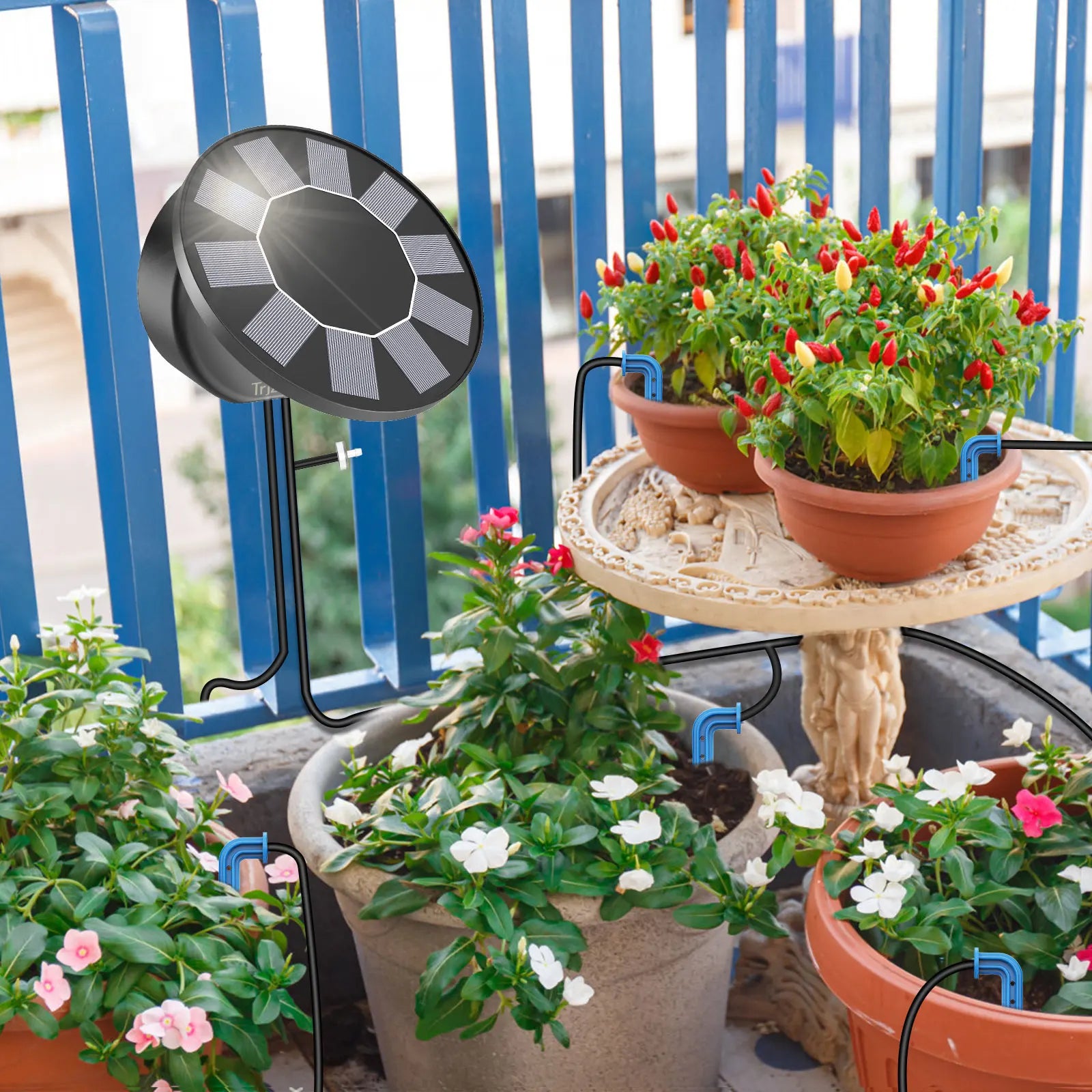 Solar Drip Irrigation System, DIY Drip Accessory Kit, Automatic Plant Watering System, with Watering Timer&10M Water Pipe Etc Oasis Select