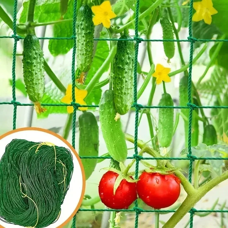 Breathable Plant Trellis Pergola Net Heavy Duty Square Mesh Netting Durable Grow Support for Garden Climbing Plants Oasis Select