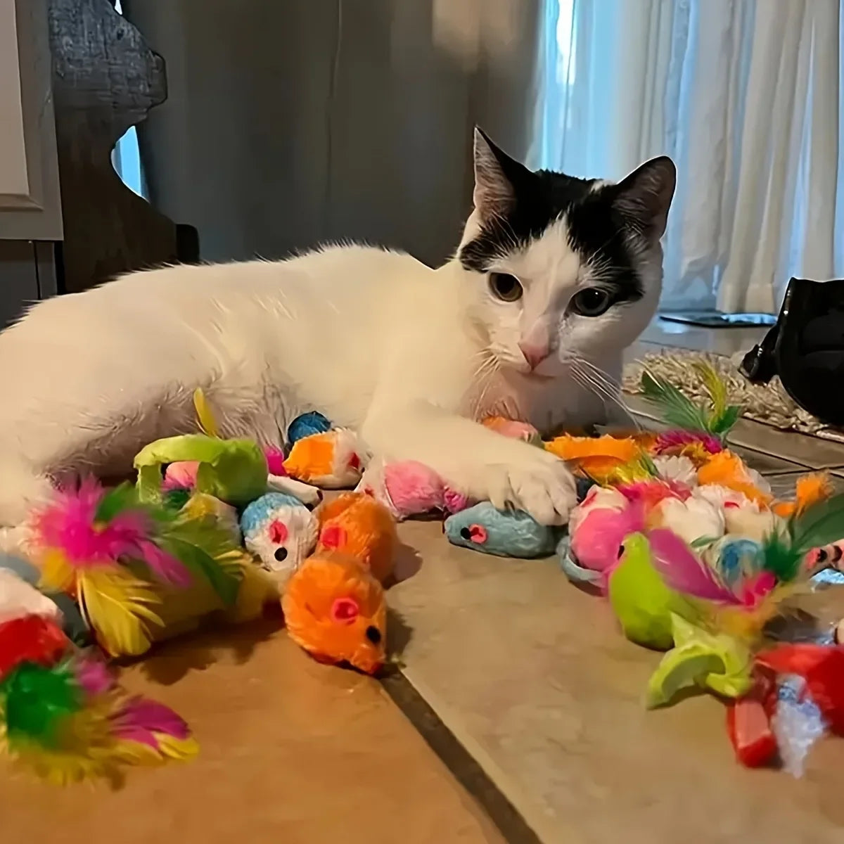 21/14pcs Interactive Cat Toys Pet Cat Toys Combination Set Kitten Toys Variety Pack- Cat Toy Sisal Mouse Bell Ball Cat Supplies Oasis Select